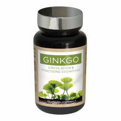 NUTRIEXPERT Гінкго білоба / GINKGO BILOBA - ясный ум и острая память, 60 капсул (LIDK90)