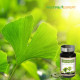 Комплекс Nutriexpert  Гінкго білоба / GINKGO BILOBA - Ясний розум та гостра пам'ять, 60 капсул (LIDK90)