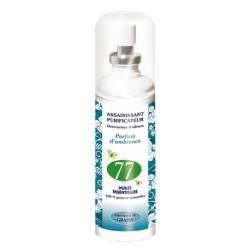 NUTRI EXPERT СПРЕЙ ОЧИСНИК ПОВІТРЯ 77 ЕФ.ОЛІЙ / BRUME AUX HUILES ESSENTIELLES (77HE), 125 мл - Очищає і ароматизує повітря